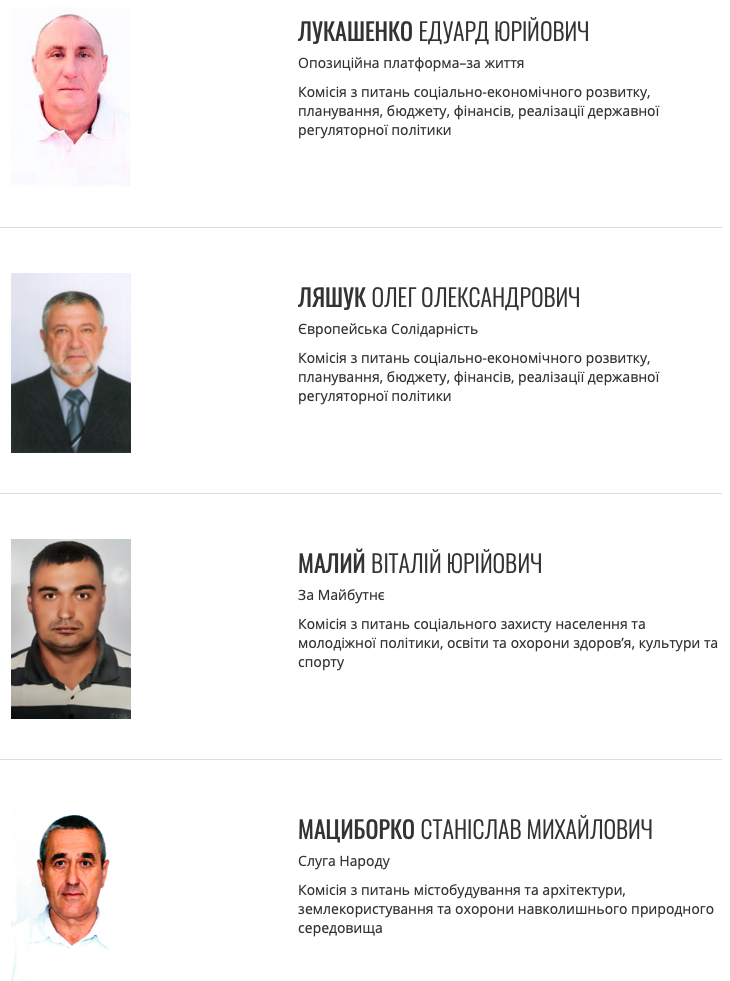 все те же на манеже? анализируем депутатский корпус покровского городского совета 8 созыва - изображение 3