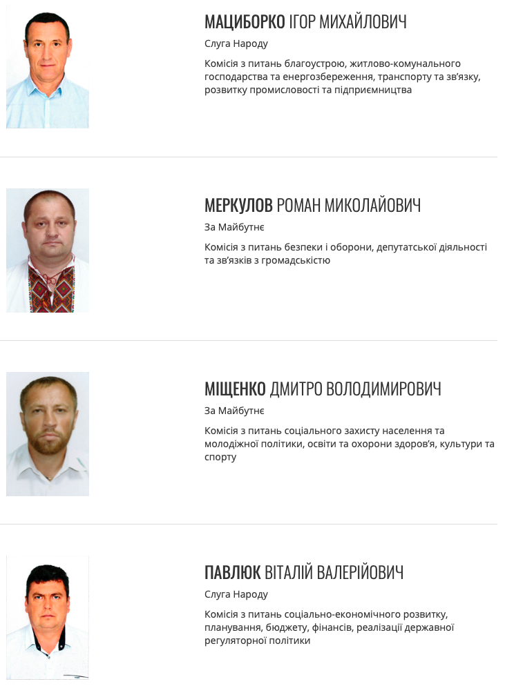 все те же на манеже? анализируем депутатский корпус покровского городского совета 8 созыва - изображение 4