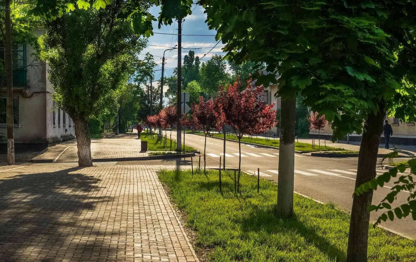 убийство предприятий, тендеры своим и прекрасные парки: как работает мэр покрова александр шаповал - изображение 13 убийство предприятий, тендеры своим и прекрасные парки: как работает мэр покрова александр шаповал - изображение 13