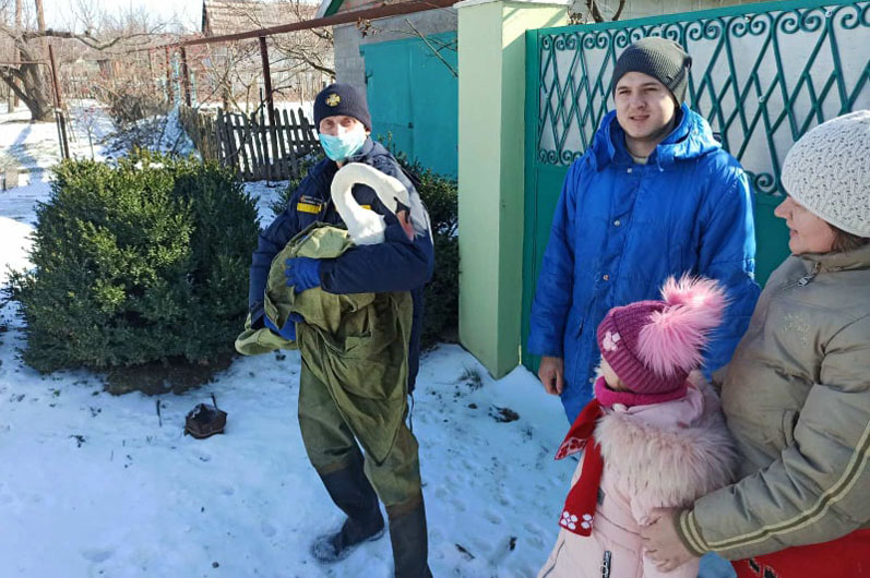 в покрове спасатели помогли лебедю - изображение 3 в покрове спасатели помогли лебедю - изображение 3