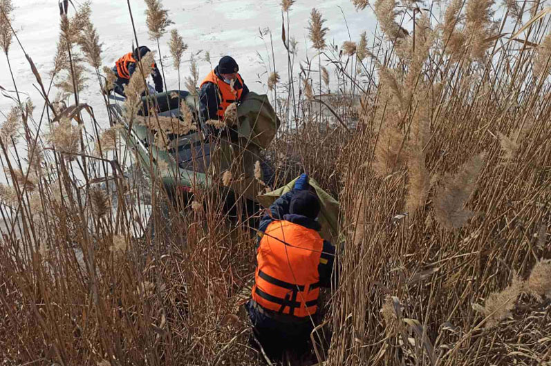 в покрове спасатели помогли лебедю - изображение 1 в покрове спасатели помогли лебедю - изображение 1