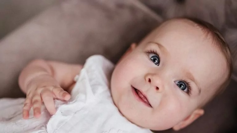 в никополе неизвестный украл ящичек с деньгами для амелии - изображение 1