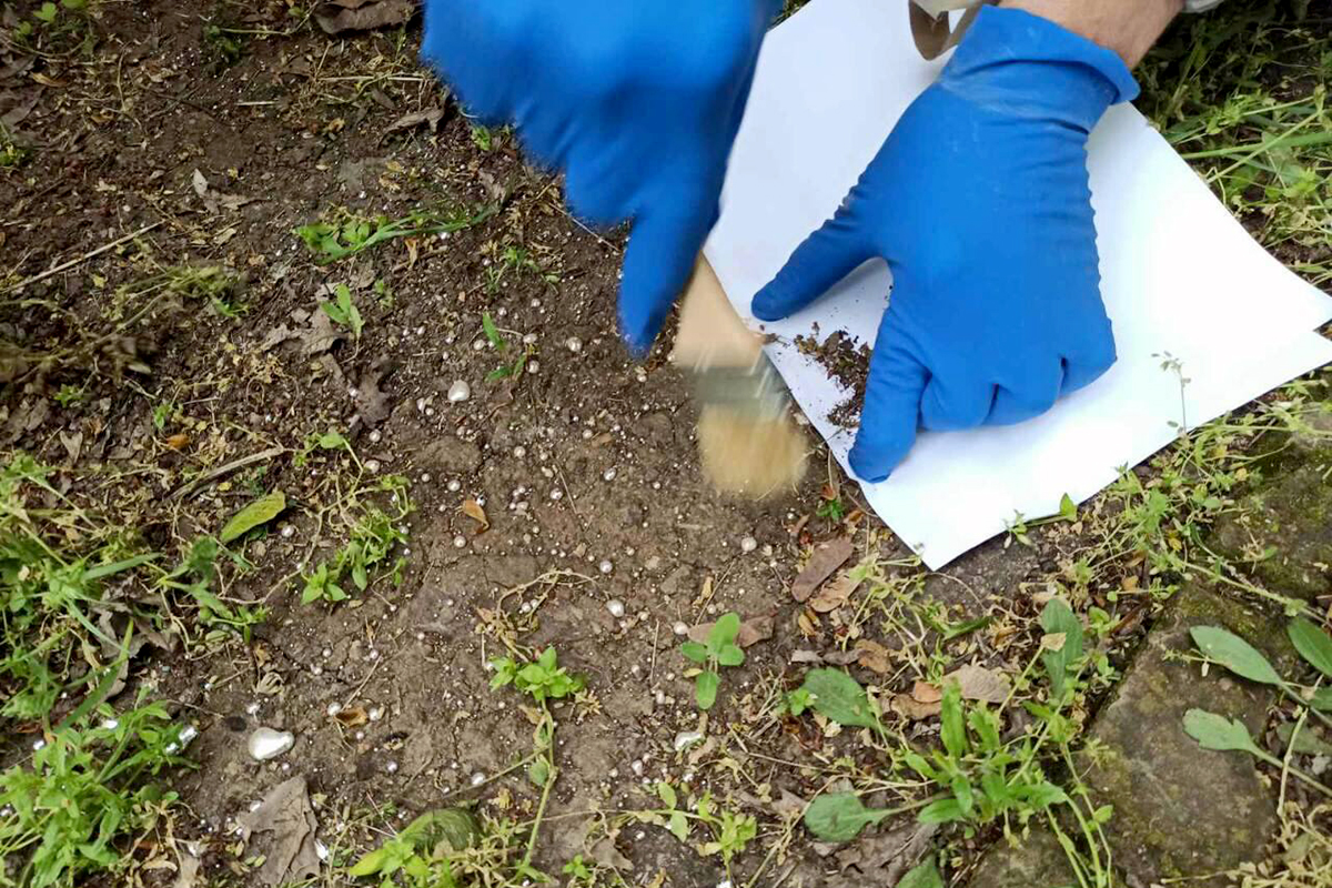 в покрове ликвидировали разлив ртути - изображение 2 в покрове ликвидировали разлив ртути - изображение 2