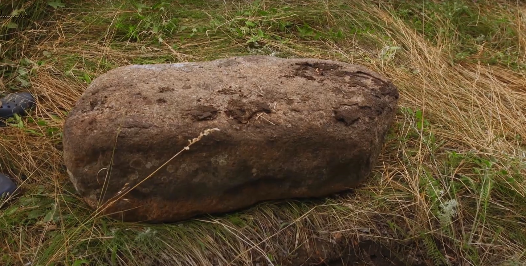 кам’яна стела доби бронзи, ліпнинний посуд та кістки тварин: що знайшли археологи в селищі токівське - зображення 1