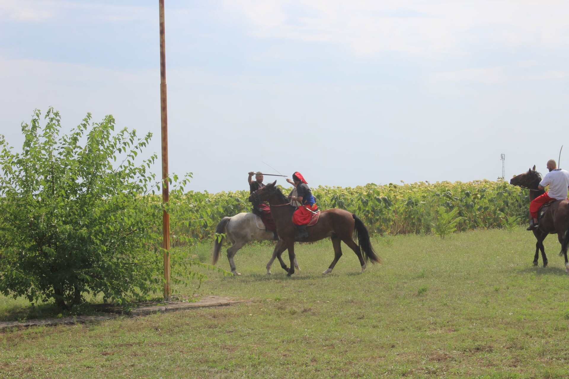 на могилі івана сірка вшанували пам’ять славетного кошового (відео) - зображення 7 на могилі івана сірка вшанували пам’ять славетного кошового (відео) - зображення 7