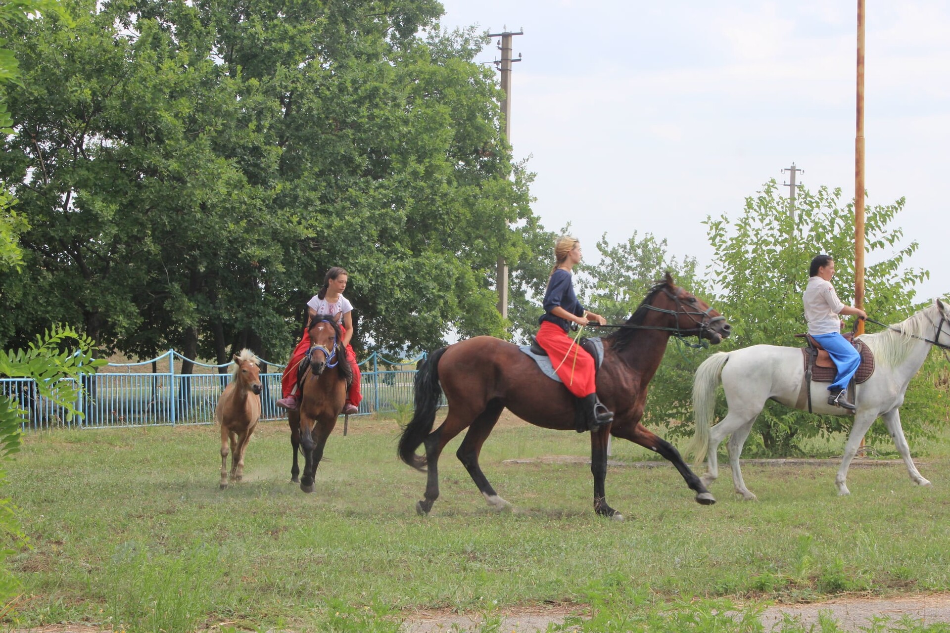 на могилі івана сірка вшанували пам’ять славетного кошового (відео) - зображення 8 на могилі івана сірка вшанували пам’ять славетного кошового (відео) - зображення 8
