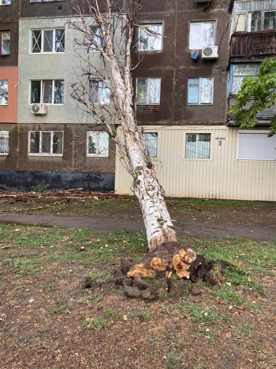 комунальники покрова ліквідували наслідки негоди - изображение 1 комунальники покрова ліквідували наслідки негоди - изображение 1
